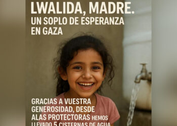 alas-solidarias-solidaridad-sin-fronteras