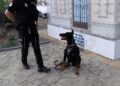 asi-trabaja-unidad-guias-caninos-policia-nacional-feria-ceuta-2025