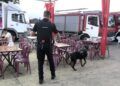 asi-trabaja-unidad-guias-caninos-policia-nacional-feria-ceuta-2025