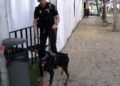 asi-trabaja-unidad-guias-caninos-policia-nacional-feria-ceuta-2025