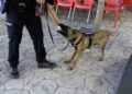 asi-trabaja-unidad-guias-caninos-policia-nacional-feria-ceuta-2025