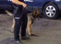 asi-trabaja-unidad-guias-caninos-policia-nacional-feria-ceuta-2025