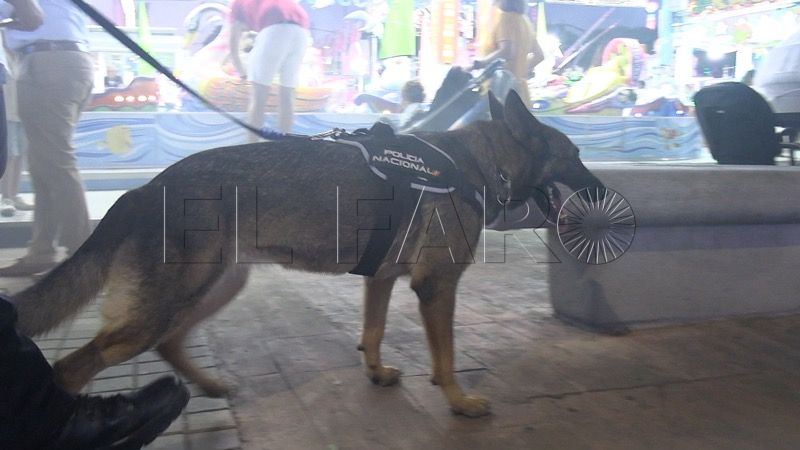 asi-trabaja-unidad-guias-caninos-policia-nacional-feria-ceuta-2025