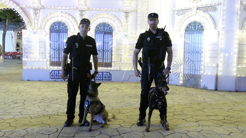 asi-trabaja-unidad-guias-caninos-policia-nacional-feria ceuta-2025-022