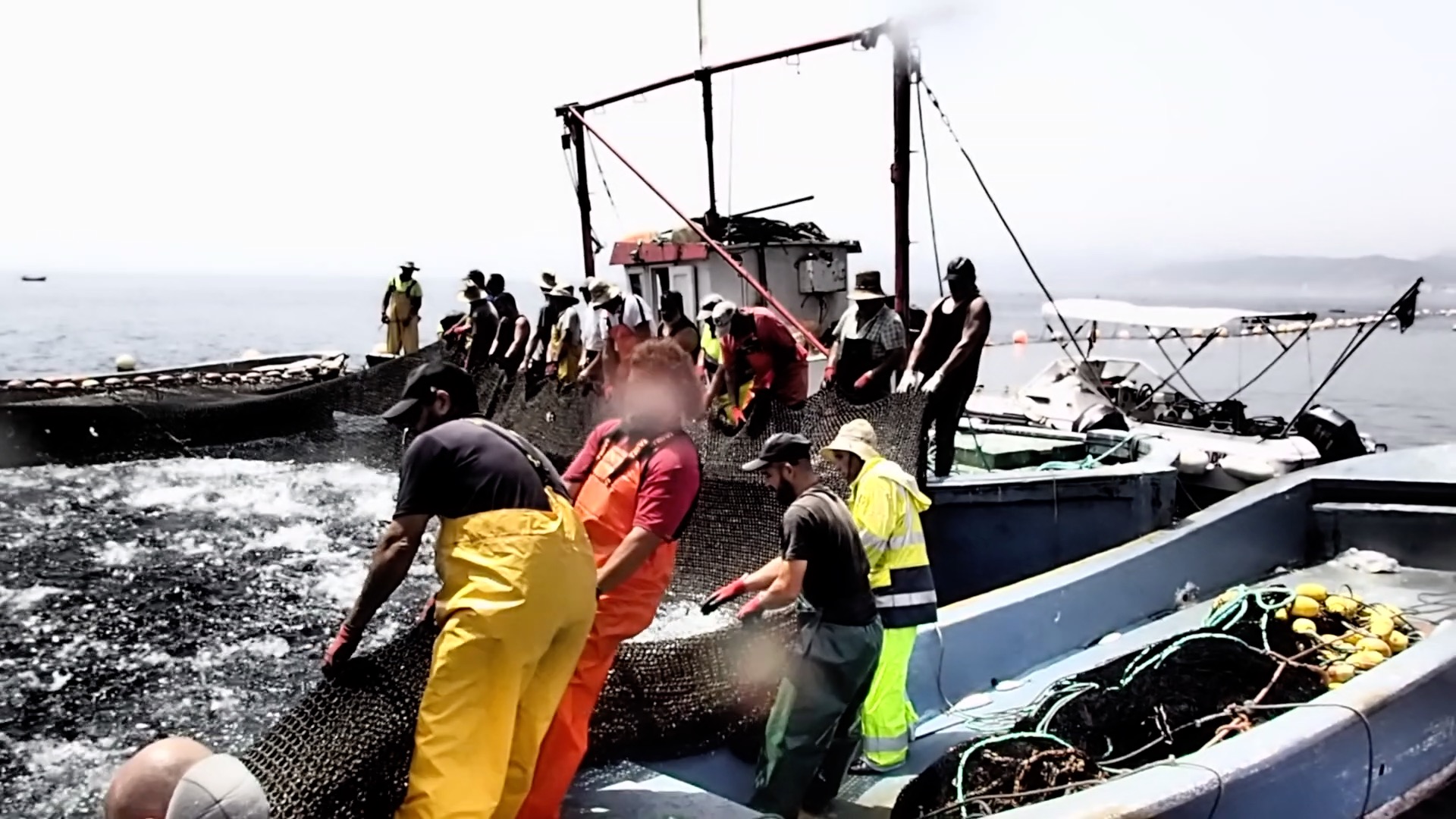 ballena-ocho-metros-rescatada-almadrabeta-cecam-buzos-3