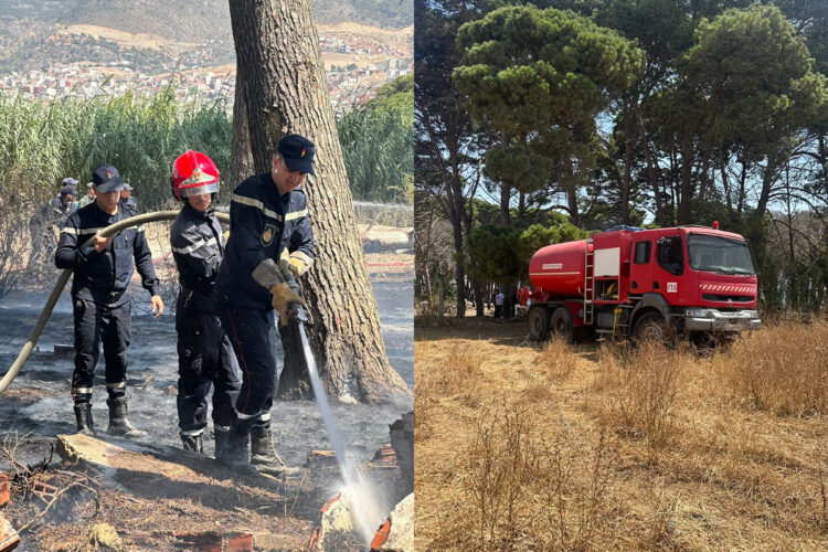 bomberos-neutraliza-incendio-bosque-tamuda-tetuan-001