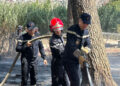 bomberos-neutraliza-incendio-bosque-tamuda-tetuan-004