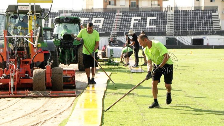 comienza-colocacion-cesped-murube-futbol-007