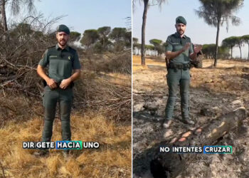 consejos-guardia-civil-incendio-forestal