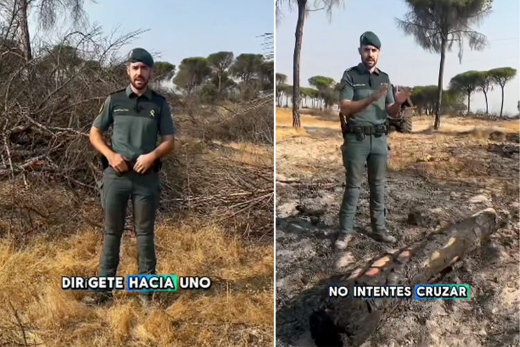 consejos-guardia-civil-incendio-forestal