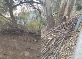 daubma-alerta-riesgo-incendio-montes-ceuta-001