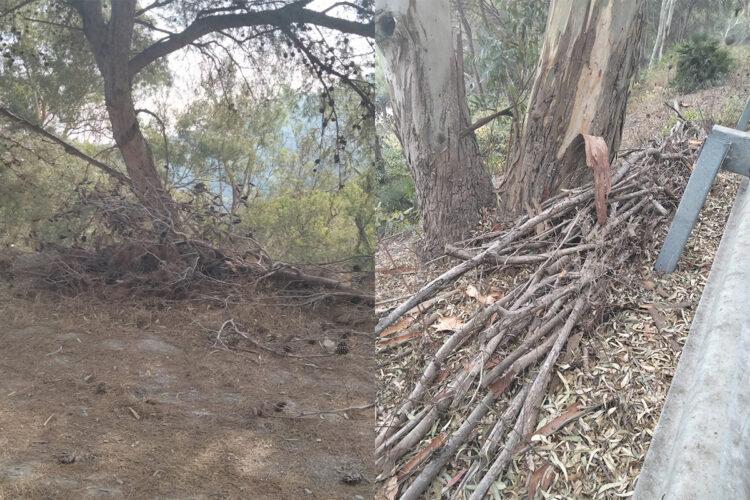 daubma-alerta-riesgo-incendio-montes-ceuta-001