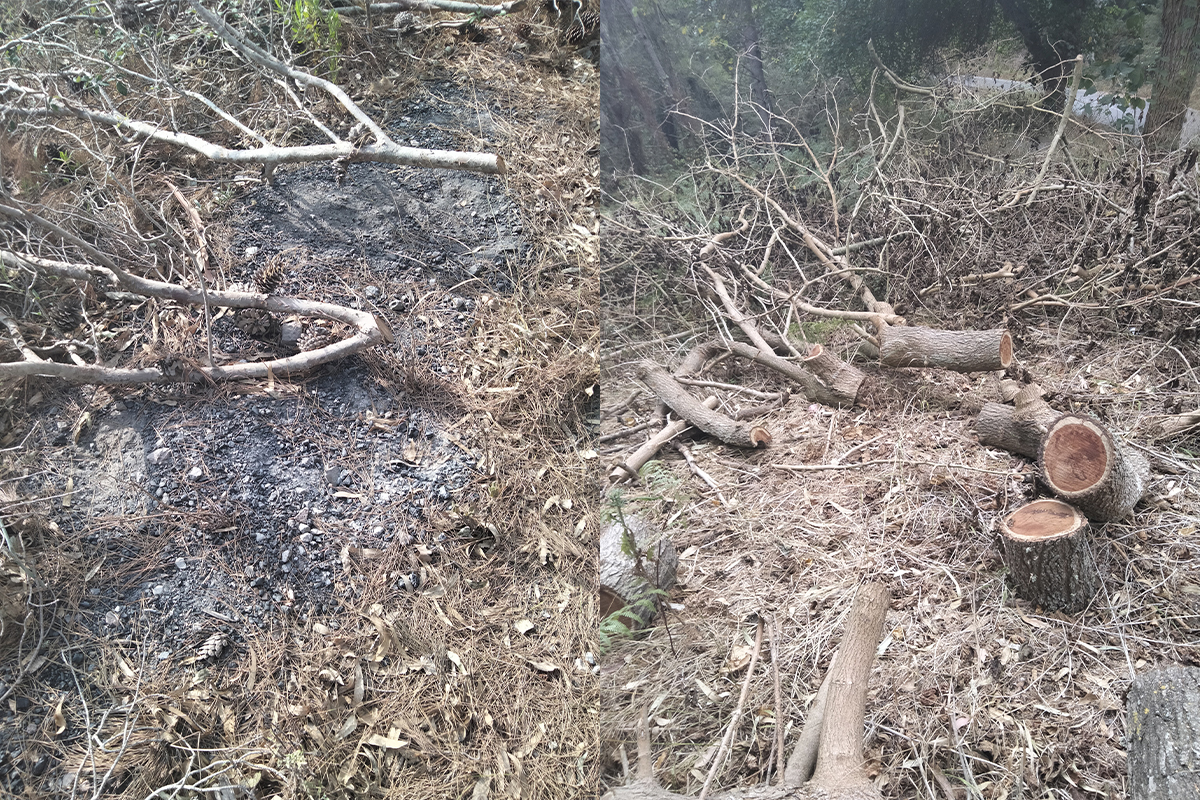 daubma-alerta-riesgo-incendio-montes-ceuta-003