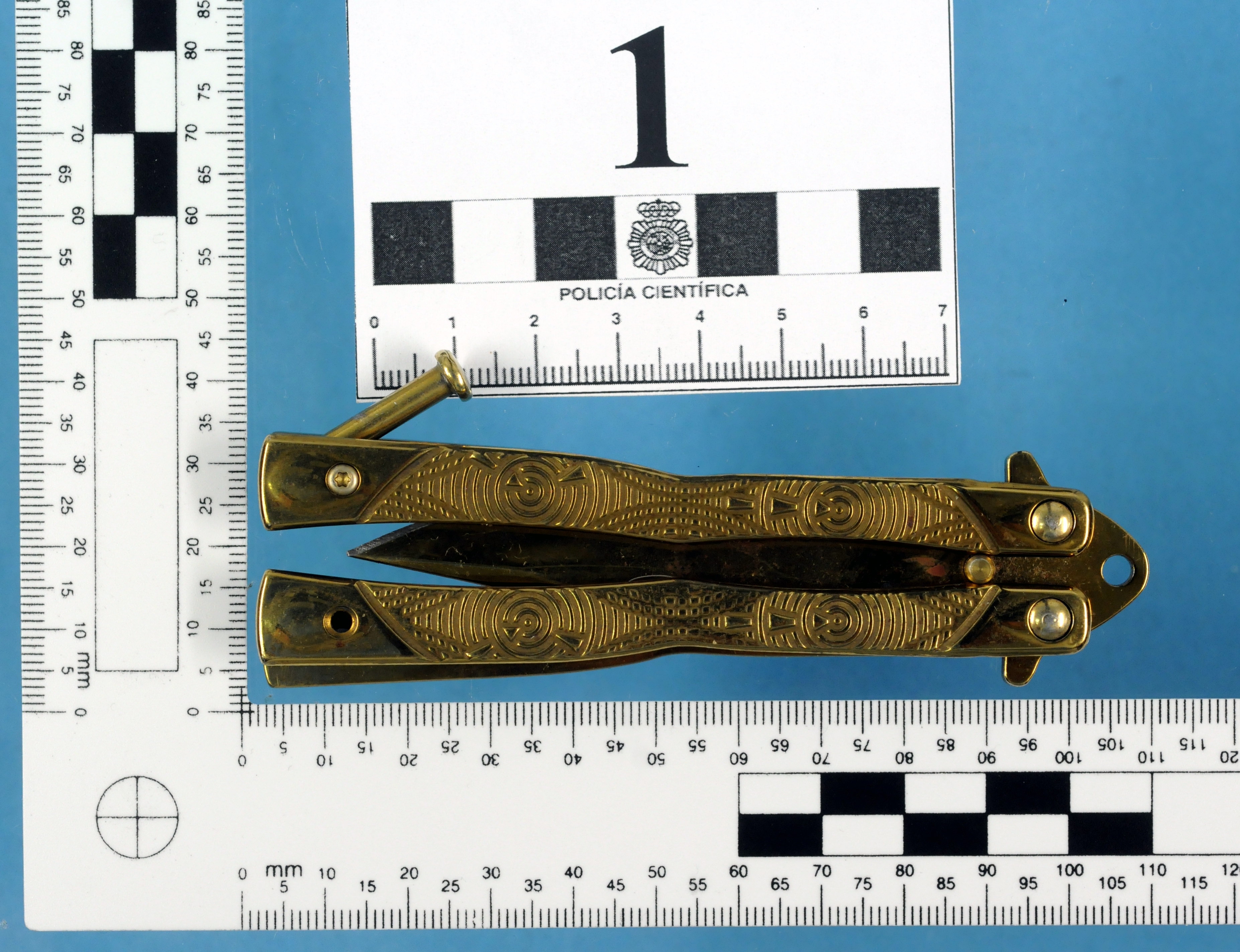 detenido-autor-apunalamiento-feria-policia-nacional-arma-1