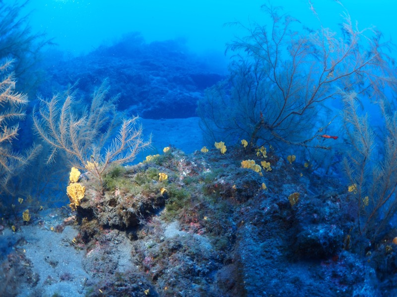el-hierro-008