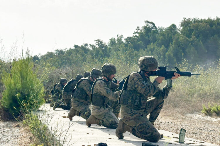 entrenamiento-ramix-30-tiro-precision-combate