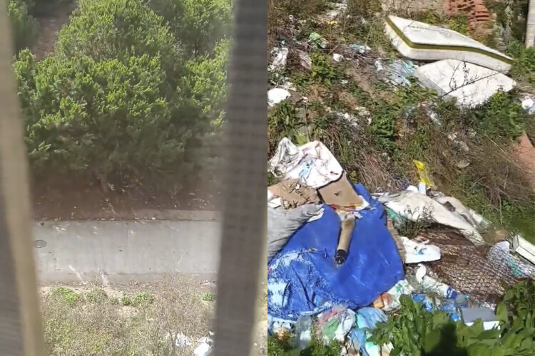 es-tenemos-aguantando-gallinero-parece-castillejos