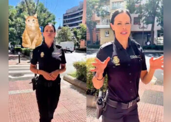 estafa-gato-policia-nacional