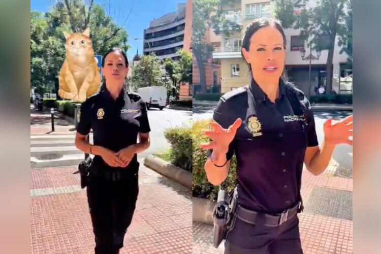 estafa-gato-policia-nacional