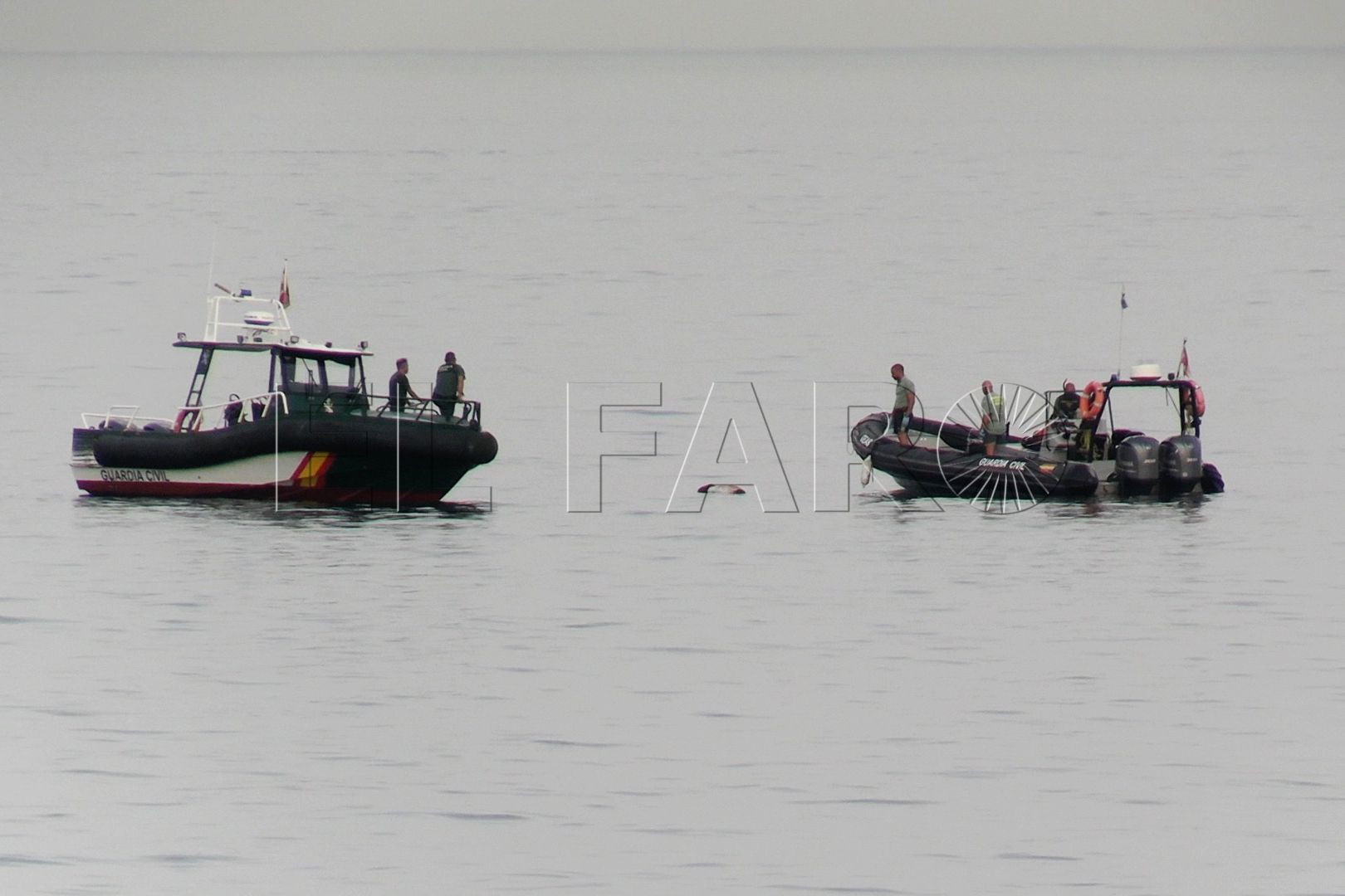 geas-cadaver-varon-juan-xxiii-18-agosto-2025-1