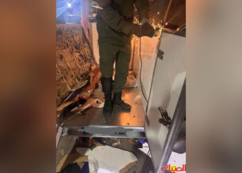 golpe-antidroga-frontera-detenido-kilos-hachis-001