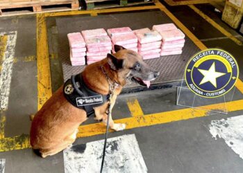 golpe-trafico-cocaina-carga-pollos-brasil-marruecos