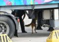 grey-perro-control-puerto-guardia-civil-operacion-feriante-2025-13