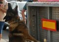 grey-perro-control-puerto-guardia-civil-operacion-feriante-2025-15
