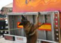 grey-perro-control-puerto-guardia-civil-operacion-feriante-2025-19