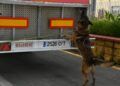 grey-perro-control-puerto-guardia-civil-operacion-feriante-2025-3