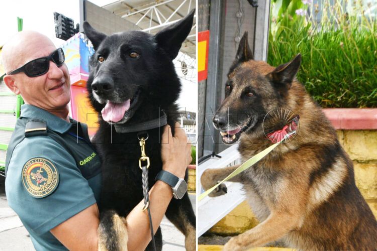 grey-salem-perros-control-puerto-guardia-civil-operacion-feriante-2025