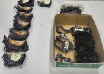 incendio-dinero-banco-espana-canje-deteriorados-002