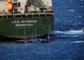 inmovilizado-ceuta-buque-llevar-material-militar-libia-019