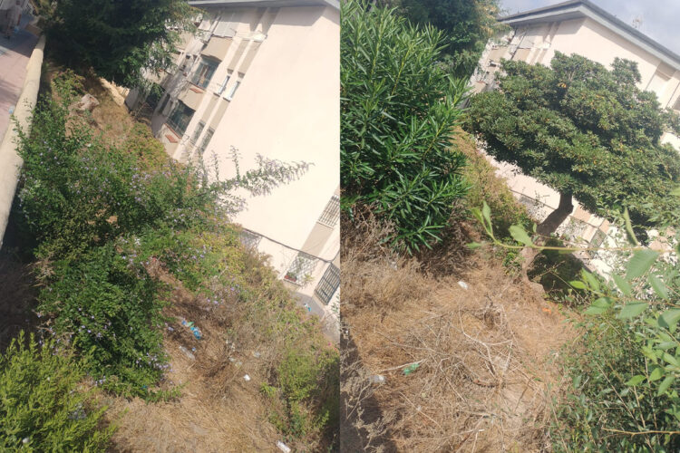 jungla-rosales-tienen-soportar-vecinos-001