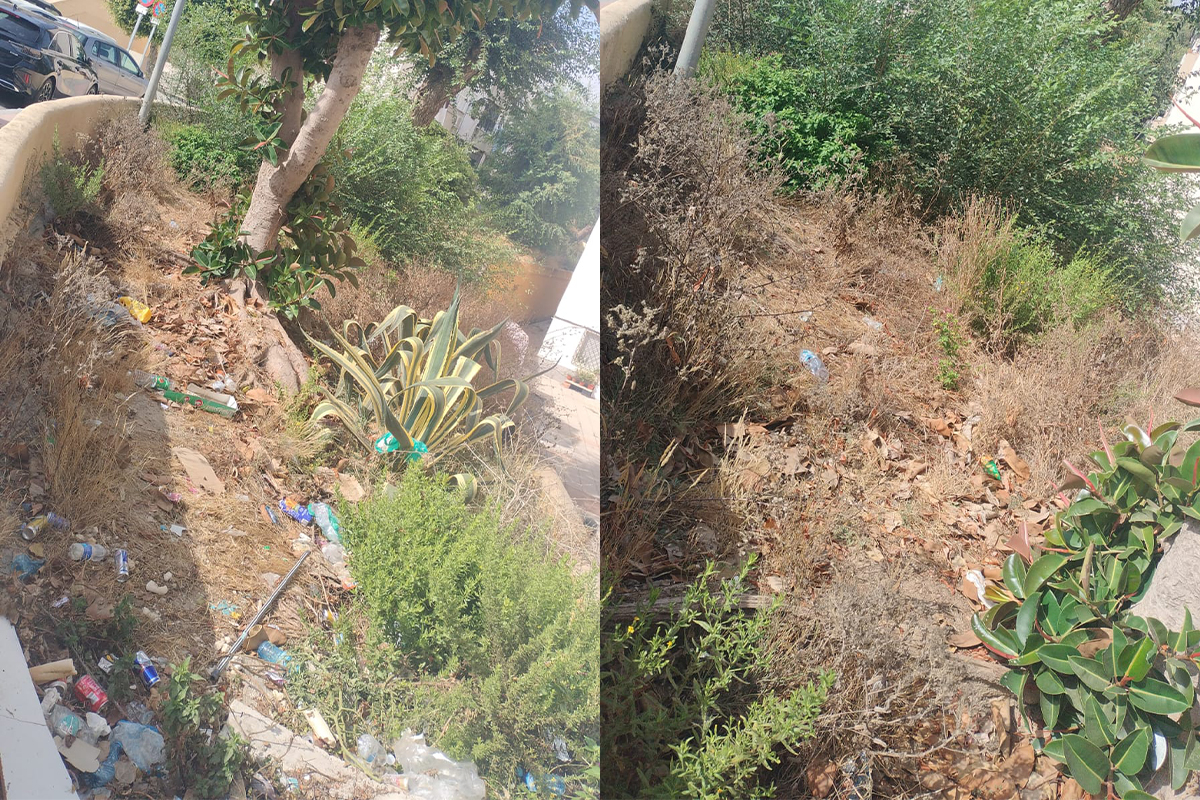 jungla-rosales-tienen-soportar-vecinos-002