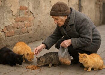 mala-gestion-municipal-olvido-animales-callejeros