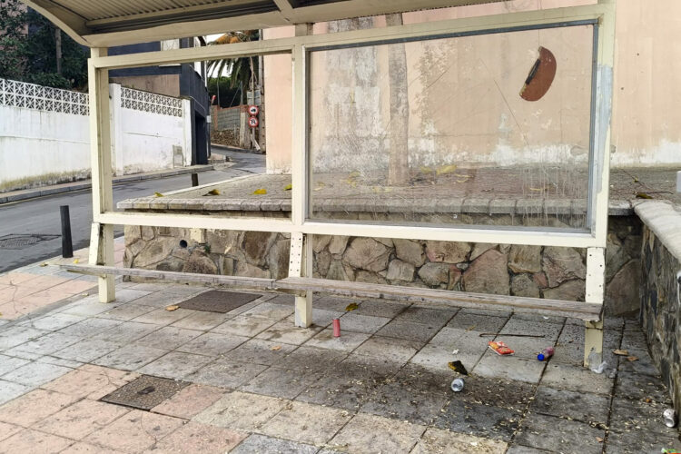 marquesina-benitez-limpieza