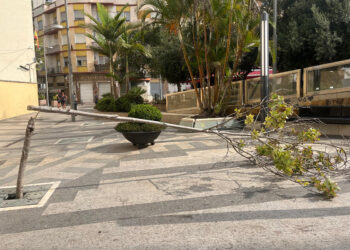 nos-estamos-quemando-vivos-destrozan-arboles-002