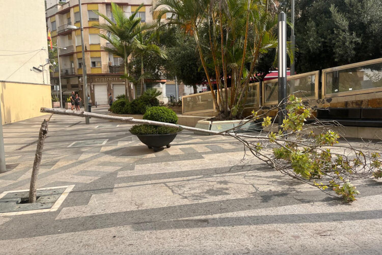 nos-estamos-quemando-vivos-destrozan-arboles-002