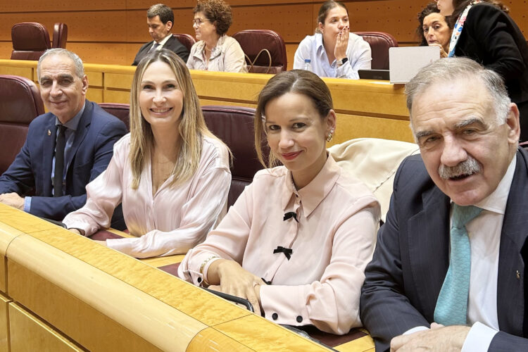 pp-exige-gobierno-plan-integral-seguridad-ceuta-melilla