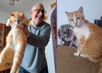 ramchandani-crematorio-animales-respuesta