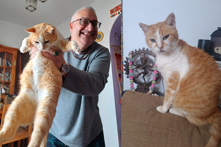 ramchandani-crematorio-animales-respuesta