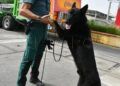 salem-perro-control-puerto-guardia-civil-operacion-feriante-2025-2