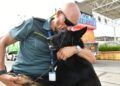 salem-perro-control-puerto-guardia-civil-operacion-feriante-2025-5