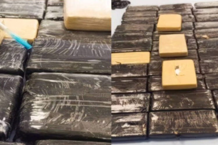 tanger-med-golpe-trafico-cocaina-procedente-brasil-002
