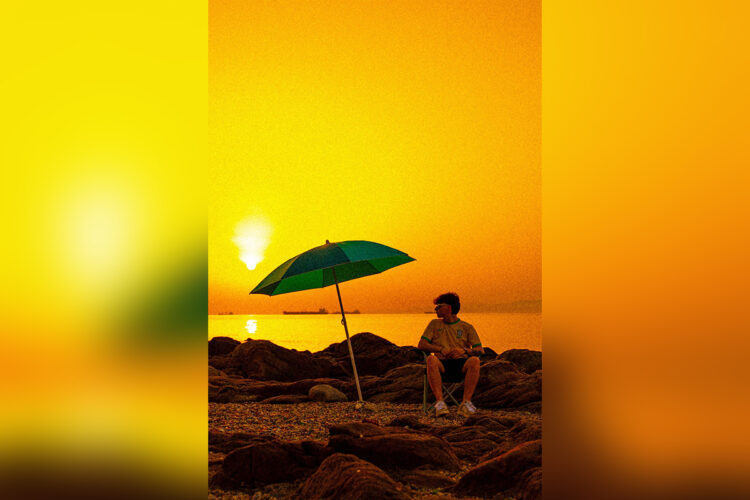 tema-santaella-brazil