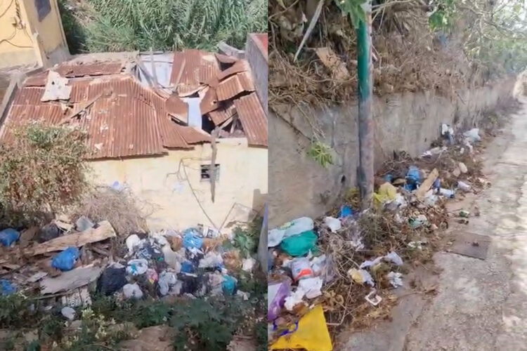 testimonio-mas-sincero-video-denunciar-insalubridad-calle-este