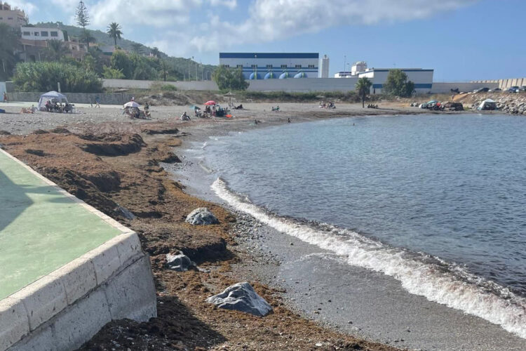 vecinos-benitez-no-pueden-banarse-playa-desaladora-1
