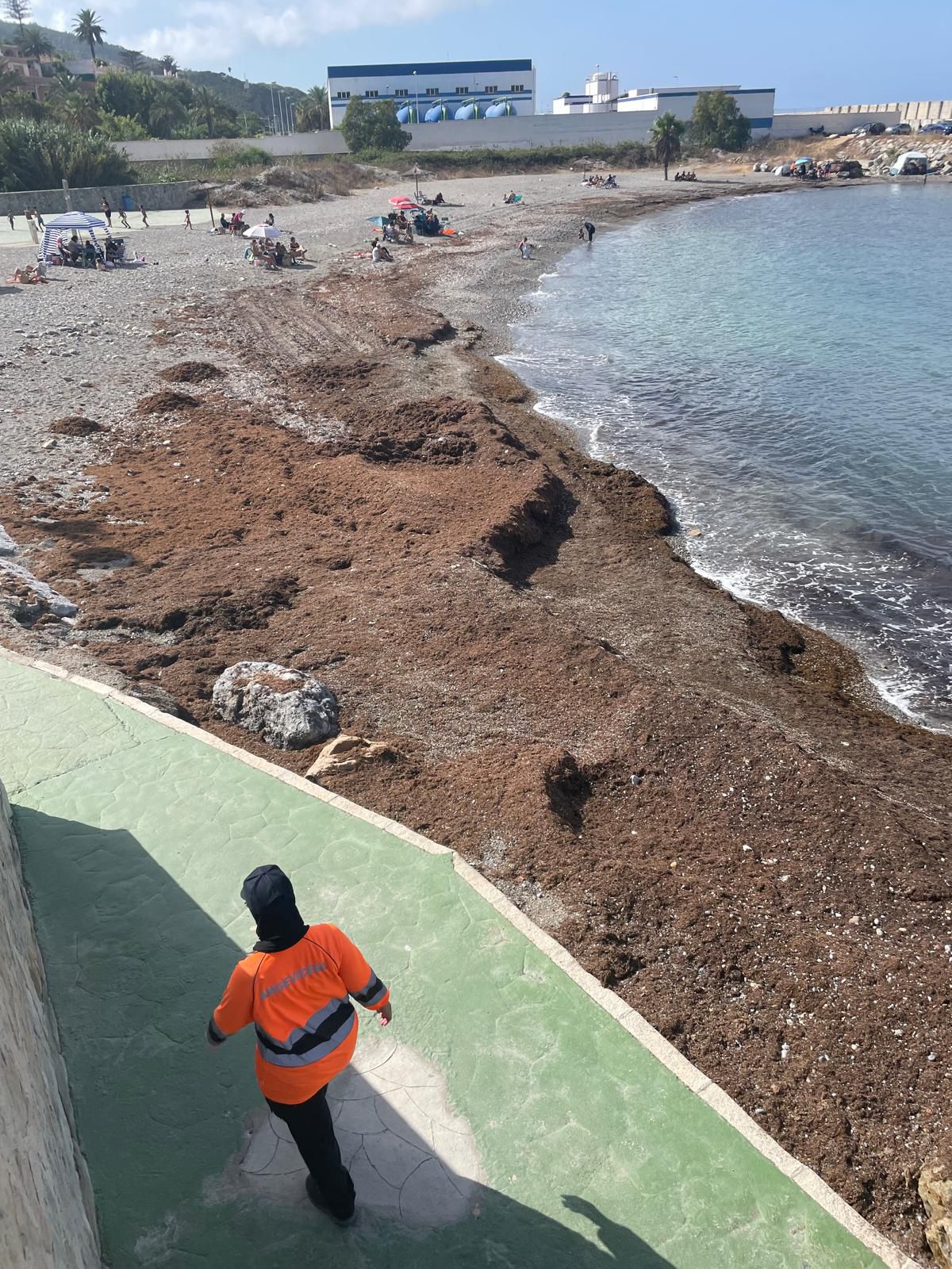 vecinos-benitez-no-pueden-banarse-playa-desaladora-2