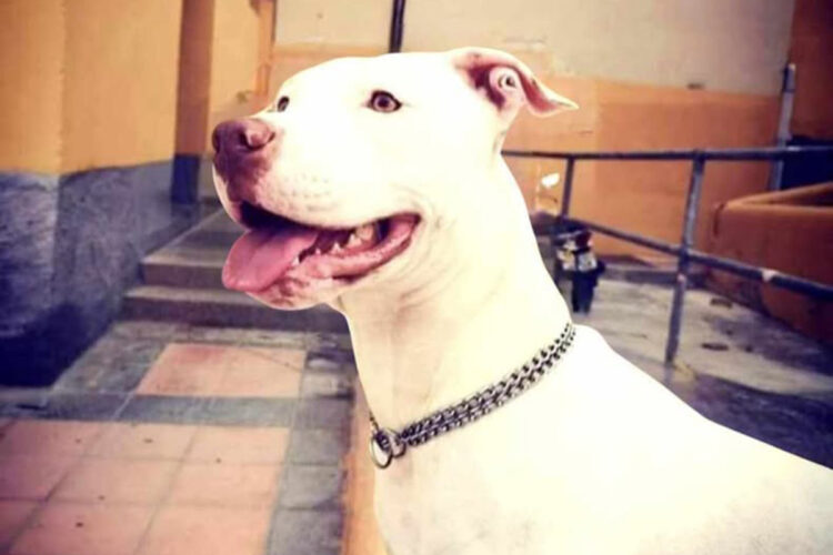 vivimos-perder-ciara-no-debe-volver-repetirse